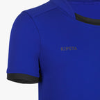 bleu cobalt