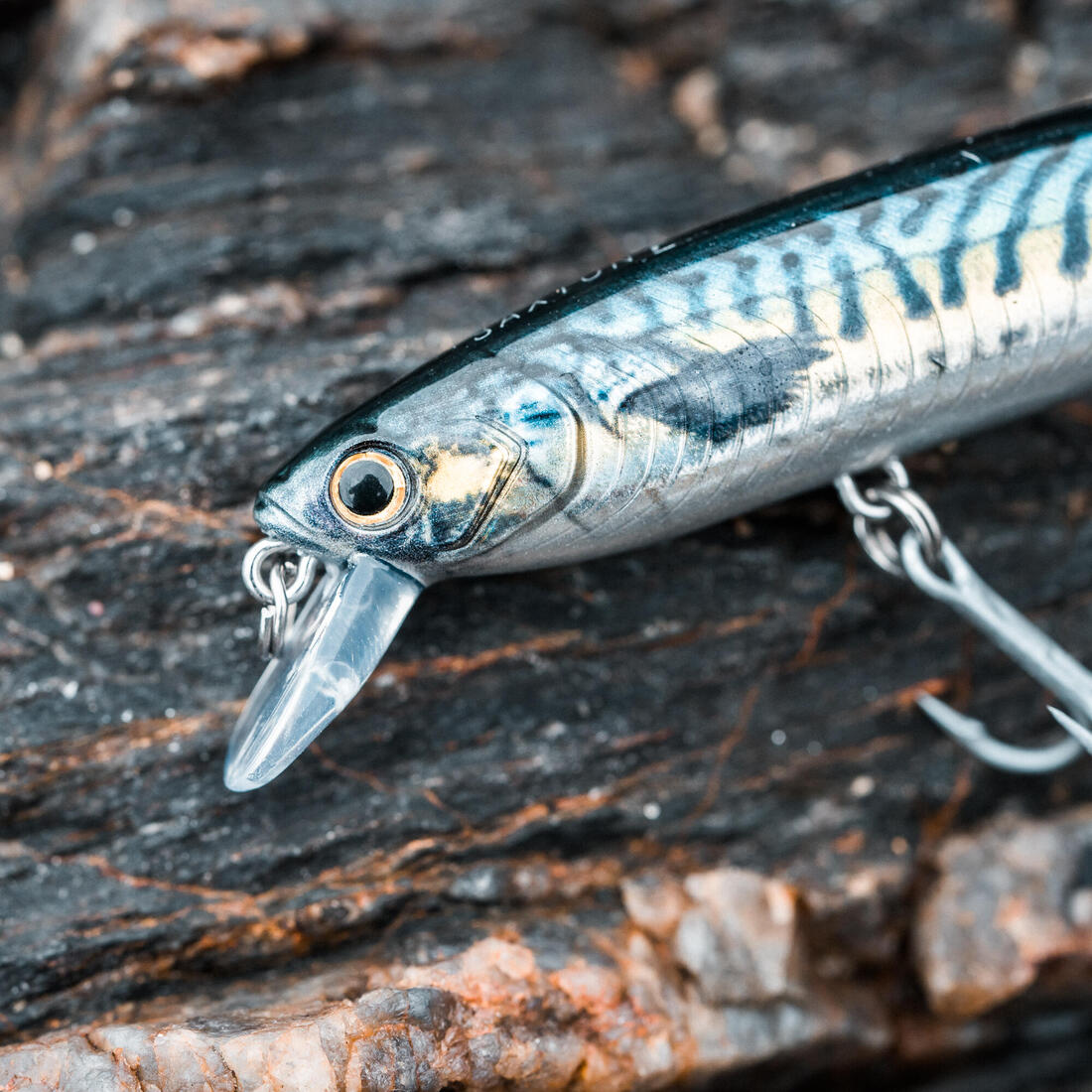 Poisson nageur Saxton 110F au leurre en mer