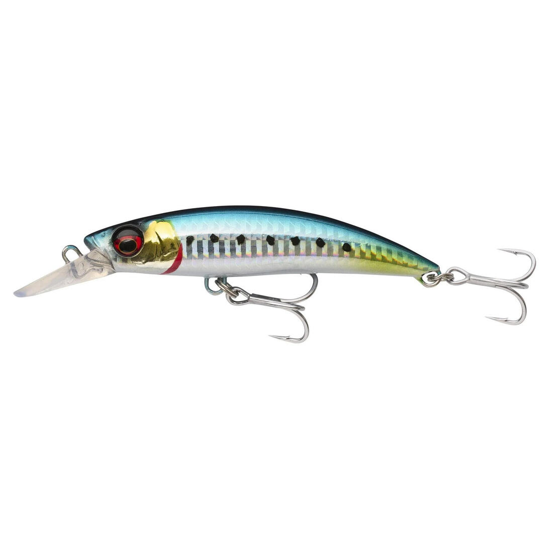 GRAVITY RUNNER SARDINE 55G