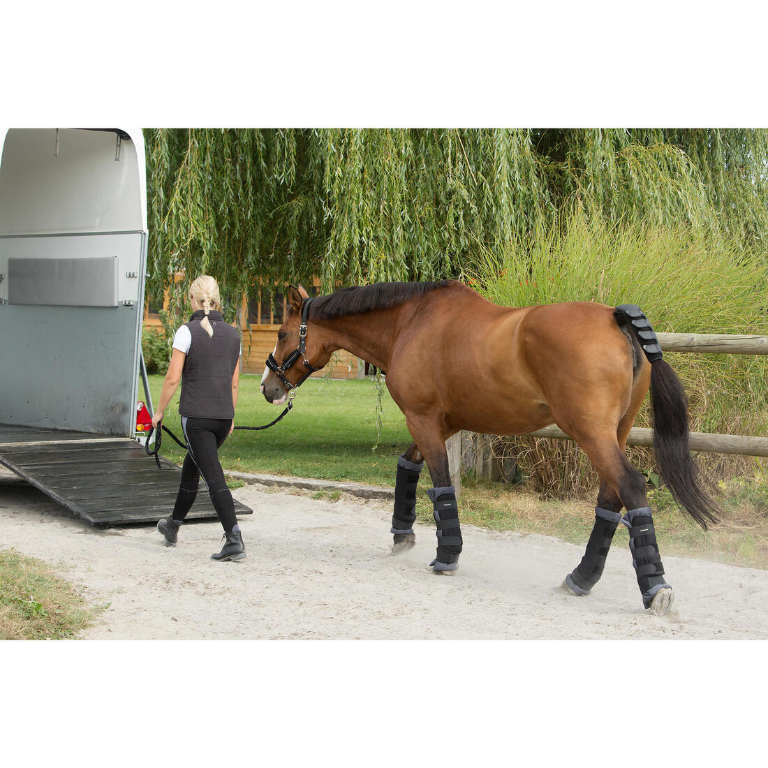 Guêtres de repos équitation avec coton Cheval et Poney - Stable boots noire x2