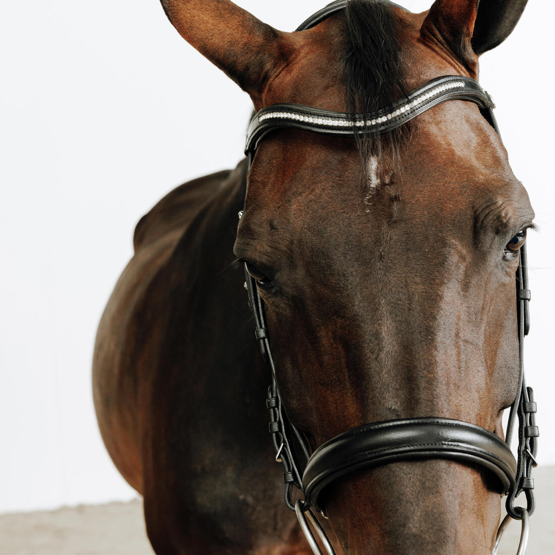 Filet équitation cuir muserolle française strass cheval et poney - 580