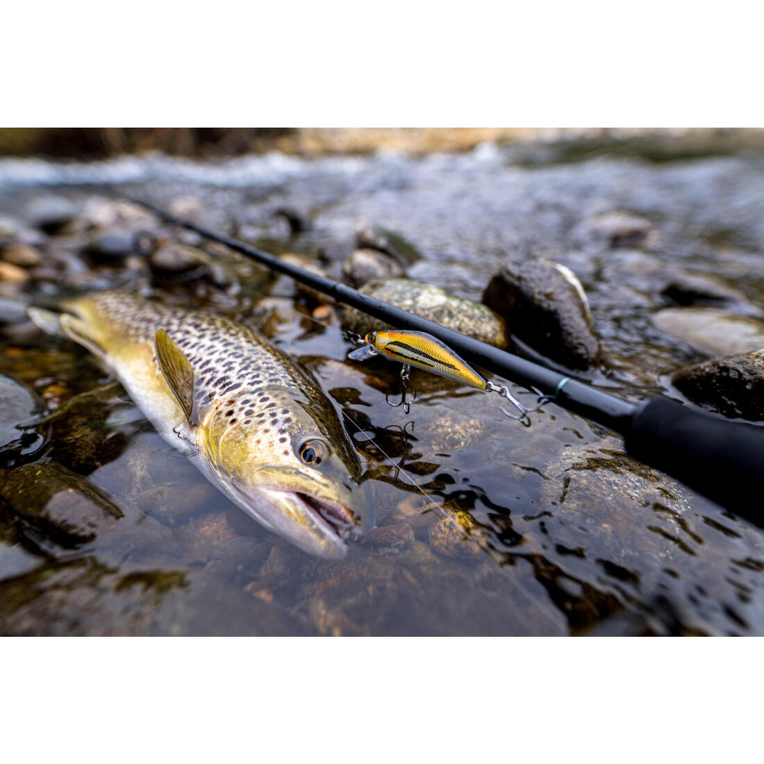POISSON NAGEUR TRUITE MINNOW WXM MNWFS 70 US BROWN YAMAME