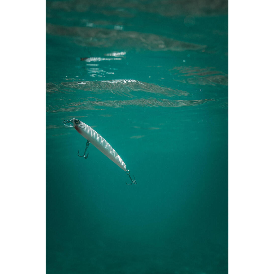 Poisson nageur Saxton 110F au leurre en mer