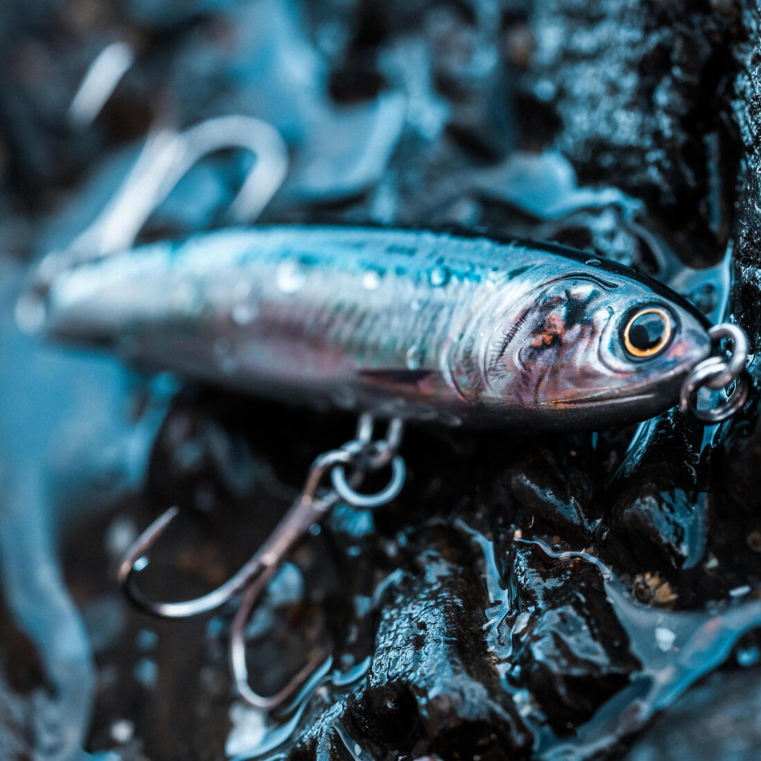 Poisson nageur ANCHO LM 95 US ANCHOIS au leurre en mer