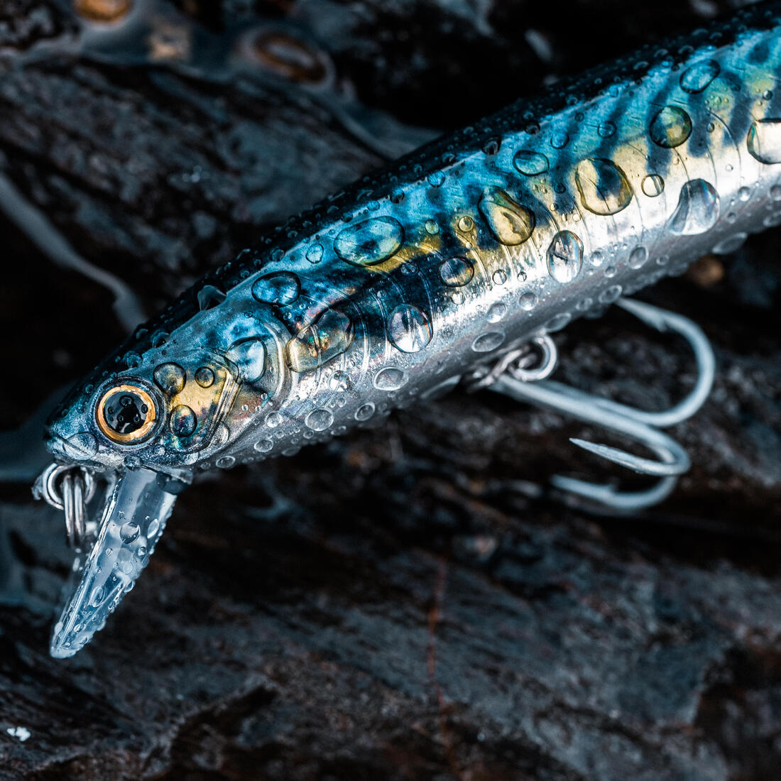 Poisson nageur Saxton 110F au leurre en mer