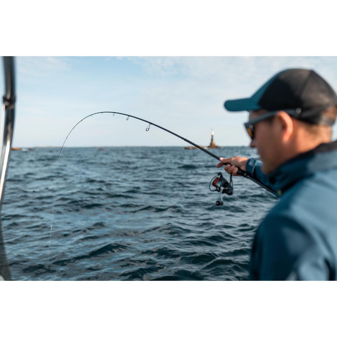 Kit leurres souples shad texan anchois ancho 120 12gr ayu en mer