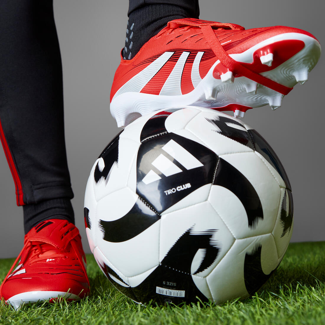 Chaussure Predator League FG/MG Adulte Rouge