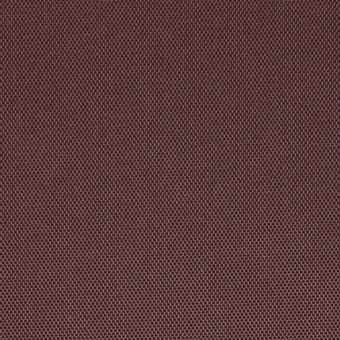 Tapis chien épaisseur 2cm 100
