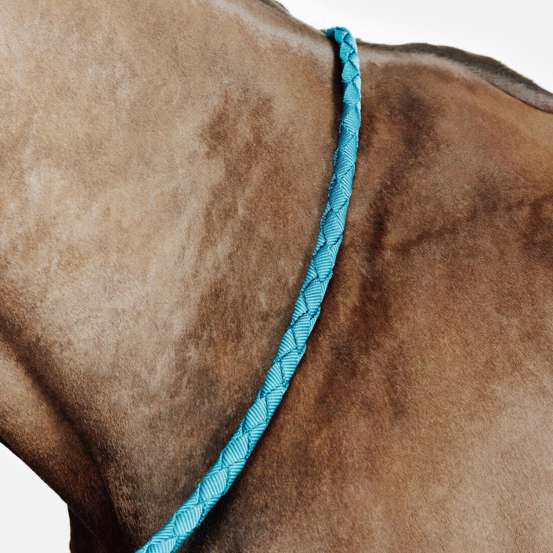 Kit licol et longe équitation Cheval et Poney - Confort rose et