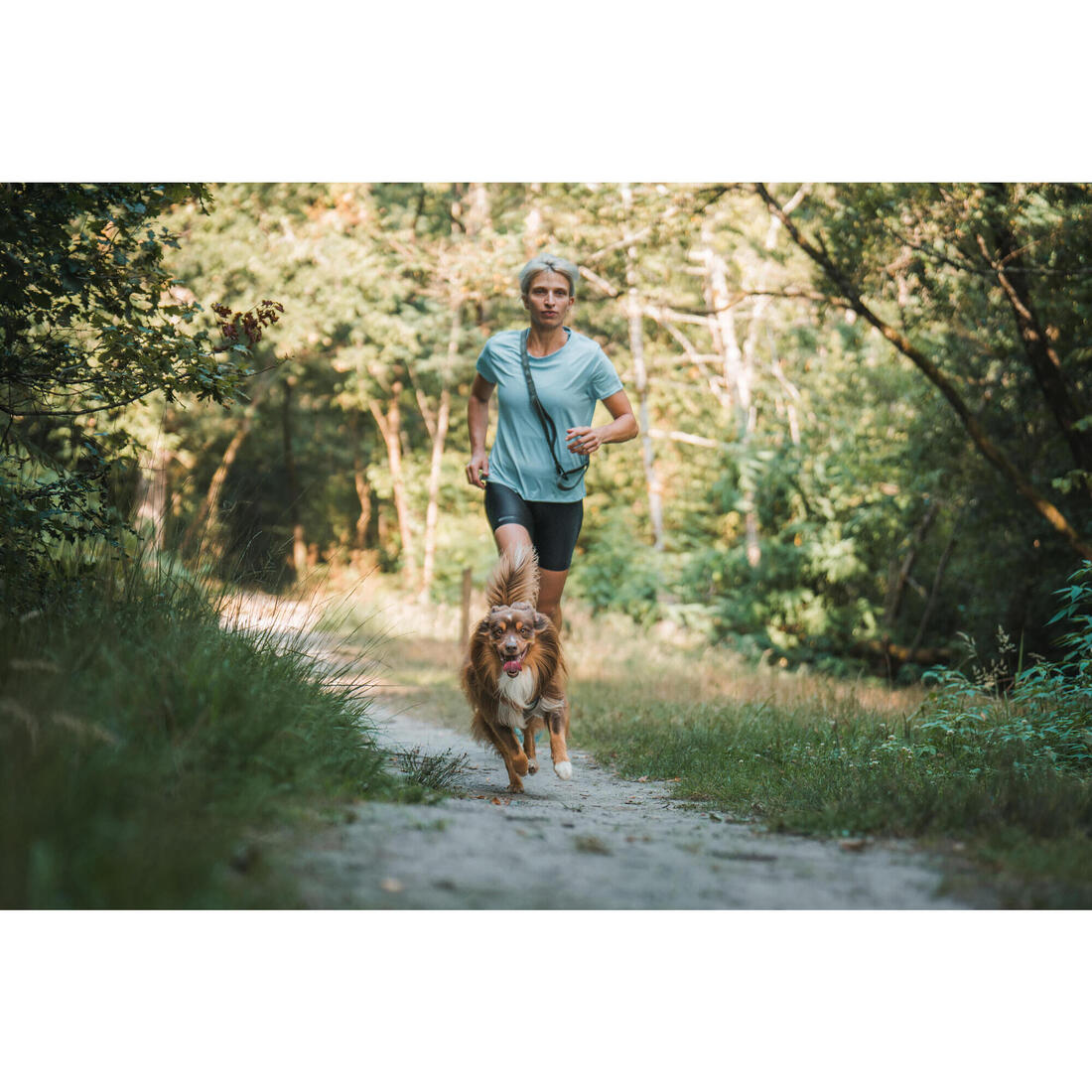 LAISSE CHIEN OUTDOOR 500