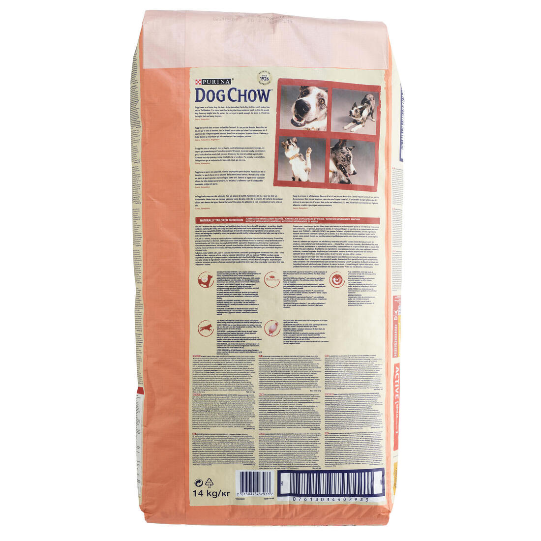 CROQUETTES CHIEN ADULTE  ACTIVE POULET DOGCHOW 14KG