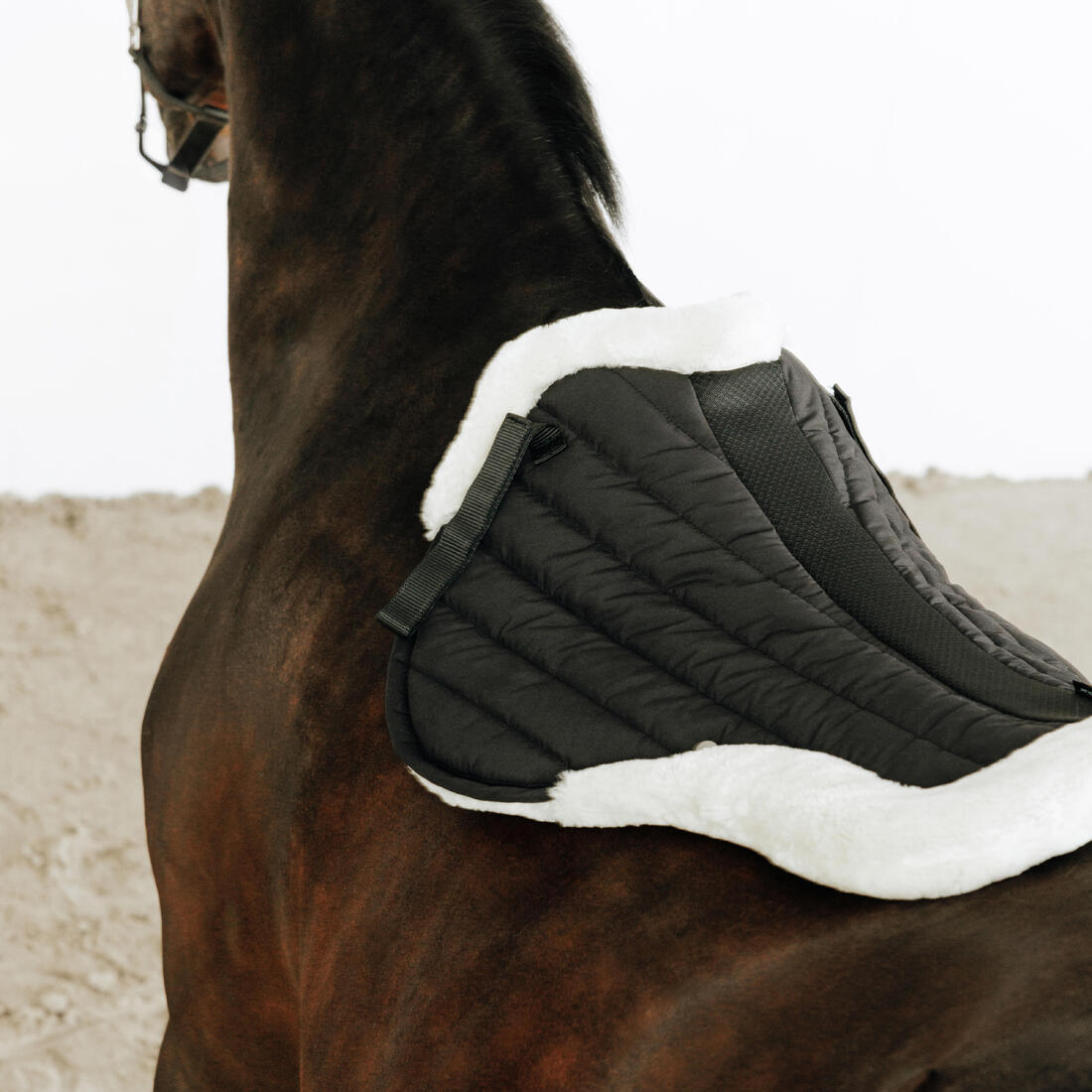 Amortisseur cheval mouton noir 900