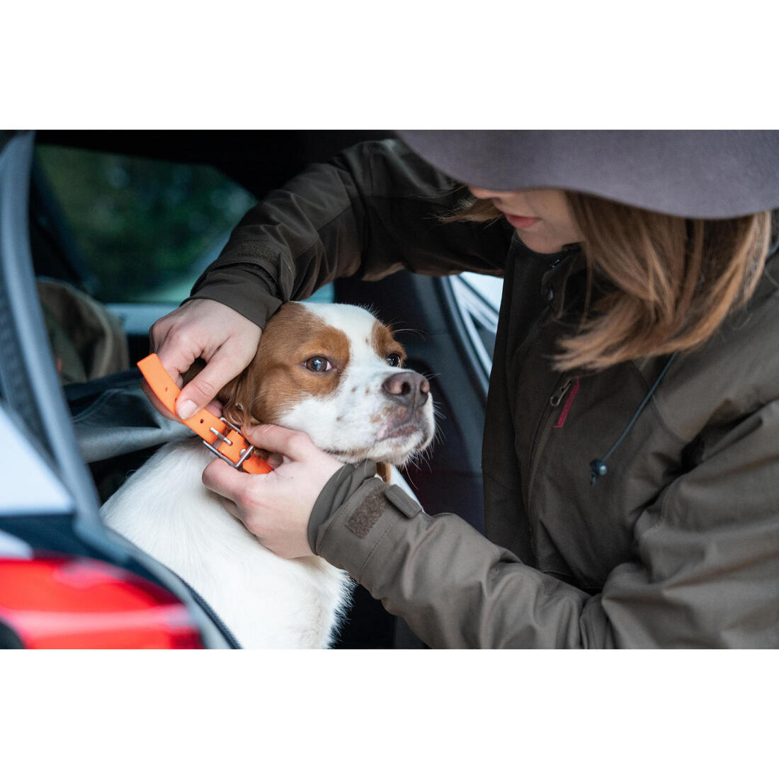Collier chien Jaune fluo 500