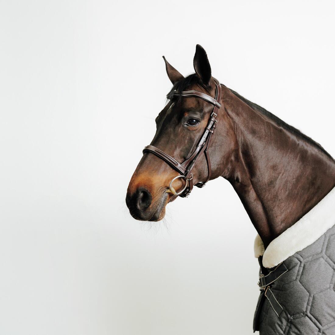 Filet équitation cuir muserolle française Cheval et Poney - 900