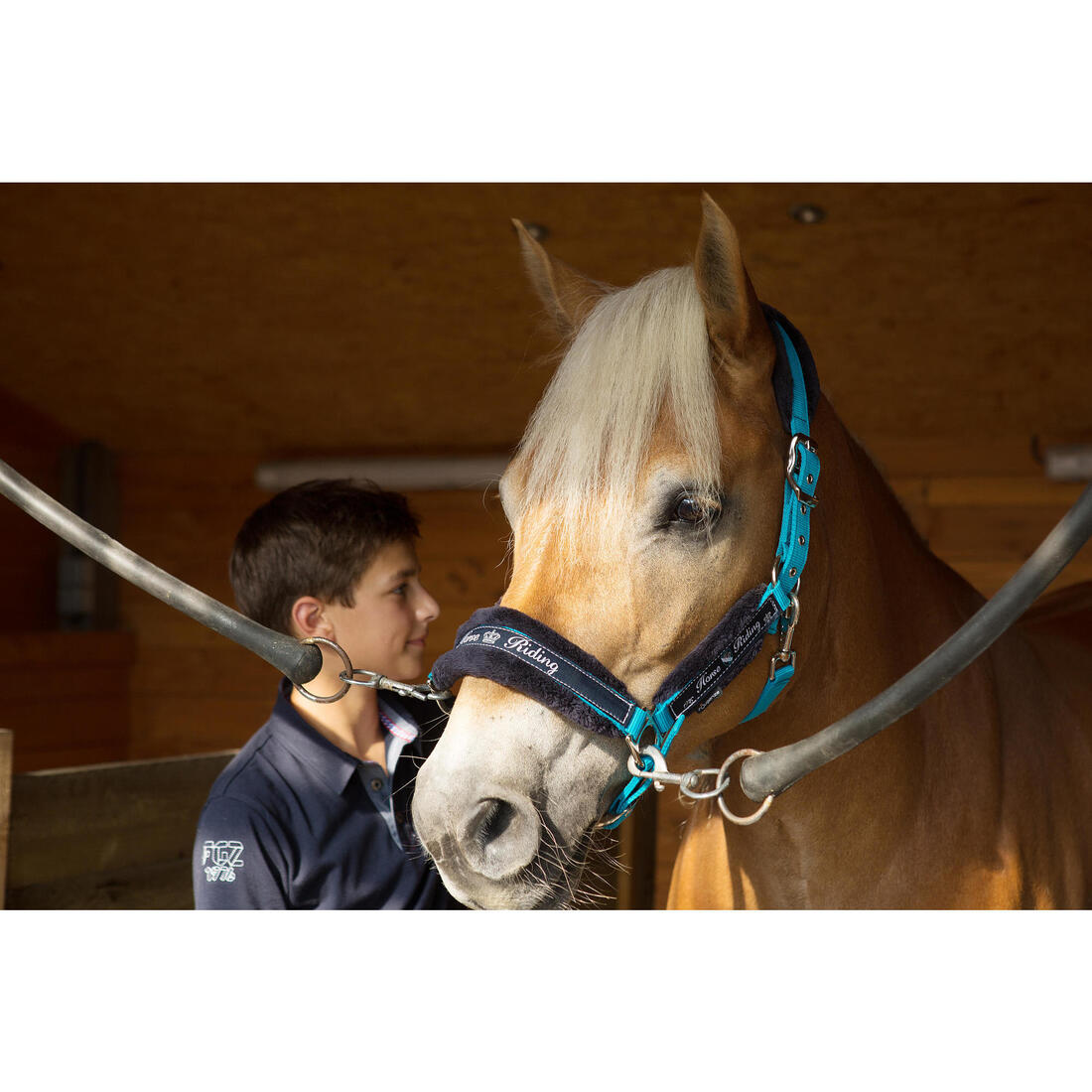 Pack licol + longe équitation cheval et poney WINNER