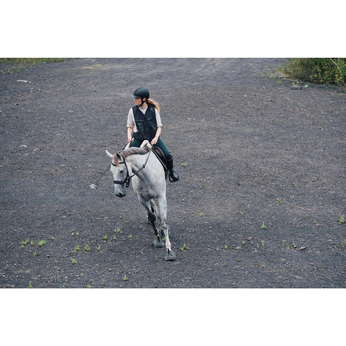 Filet sans mors équitation cheval et poney