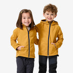 jaune ocre