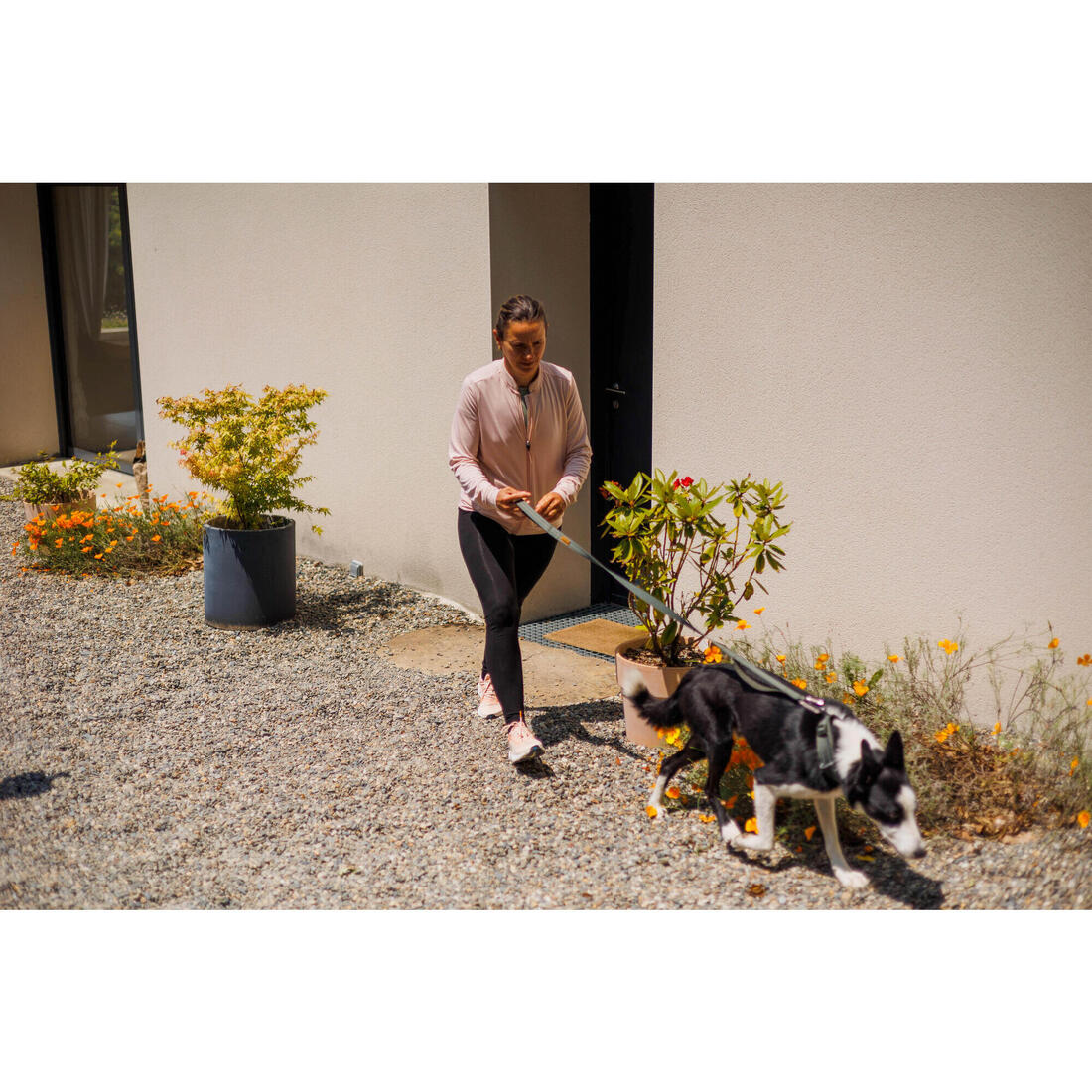 LAISSE CHIEN OUTDOOR 500