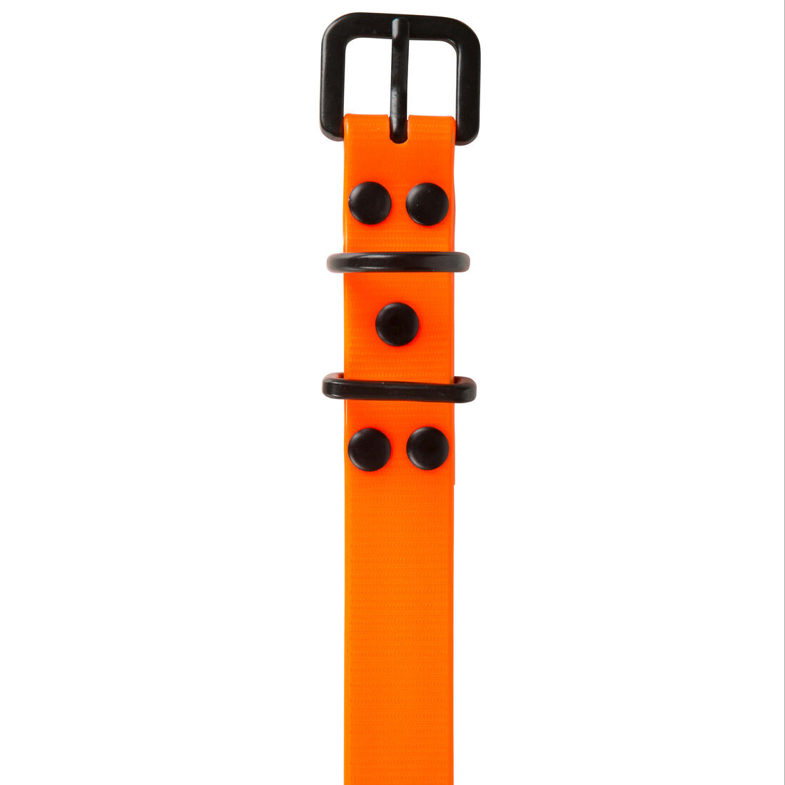 Collier chien Jaune fluo 500