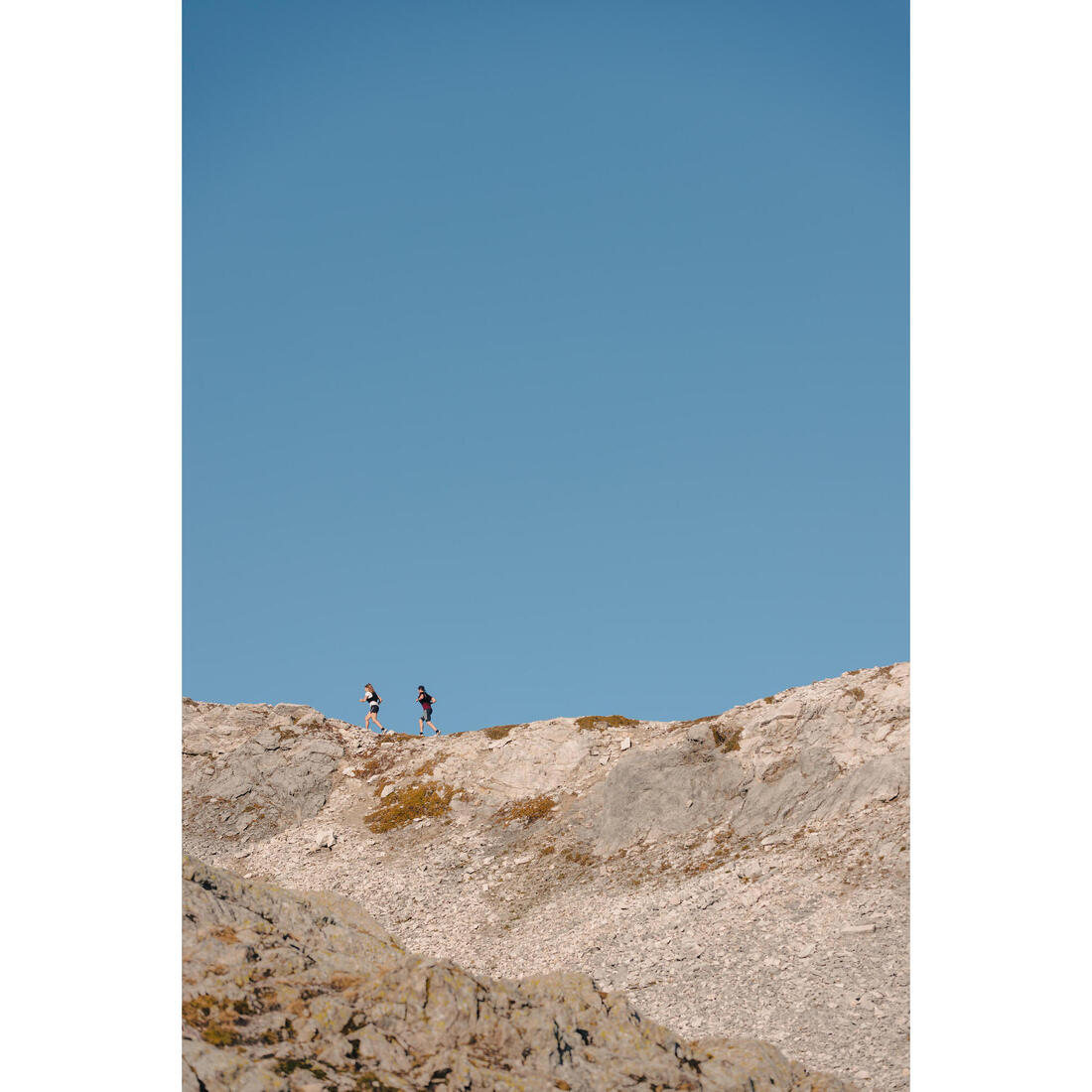 img36