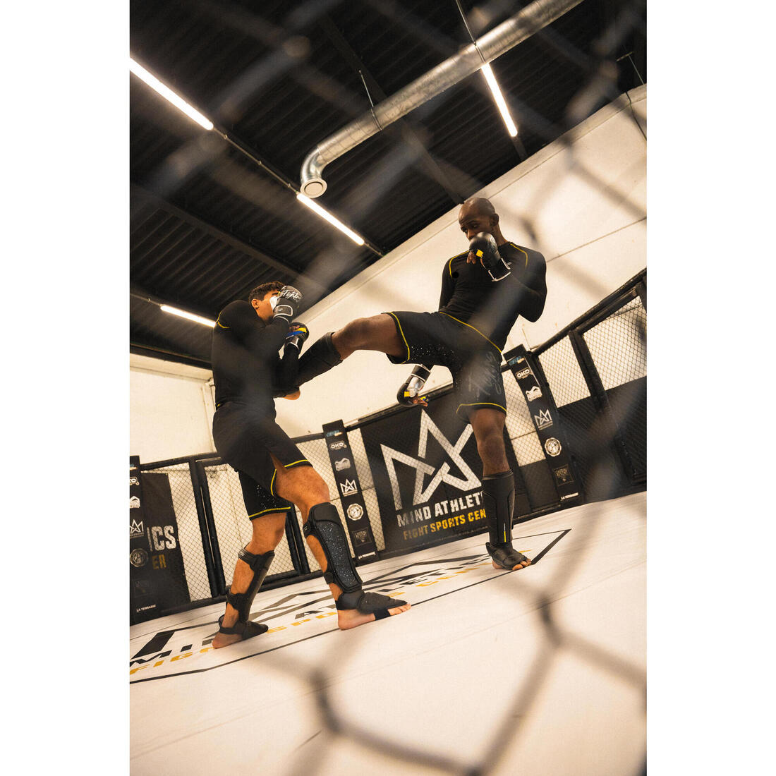 Mitaines de MMA mixte