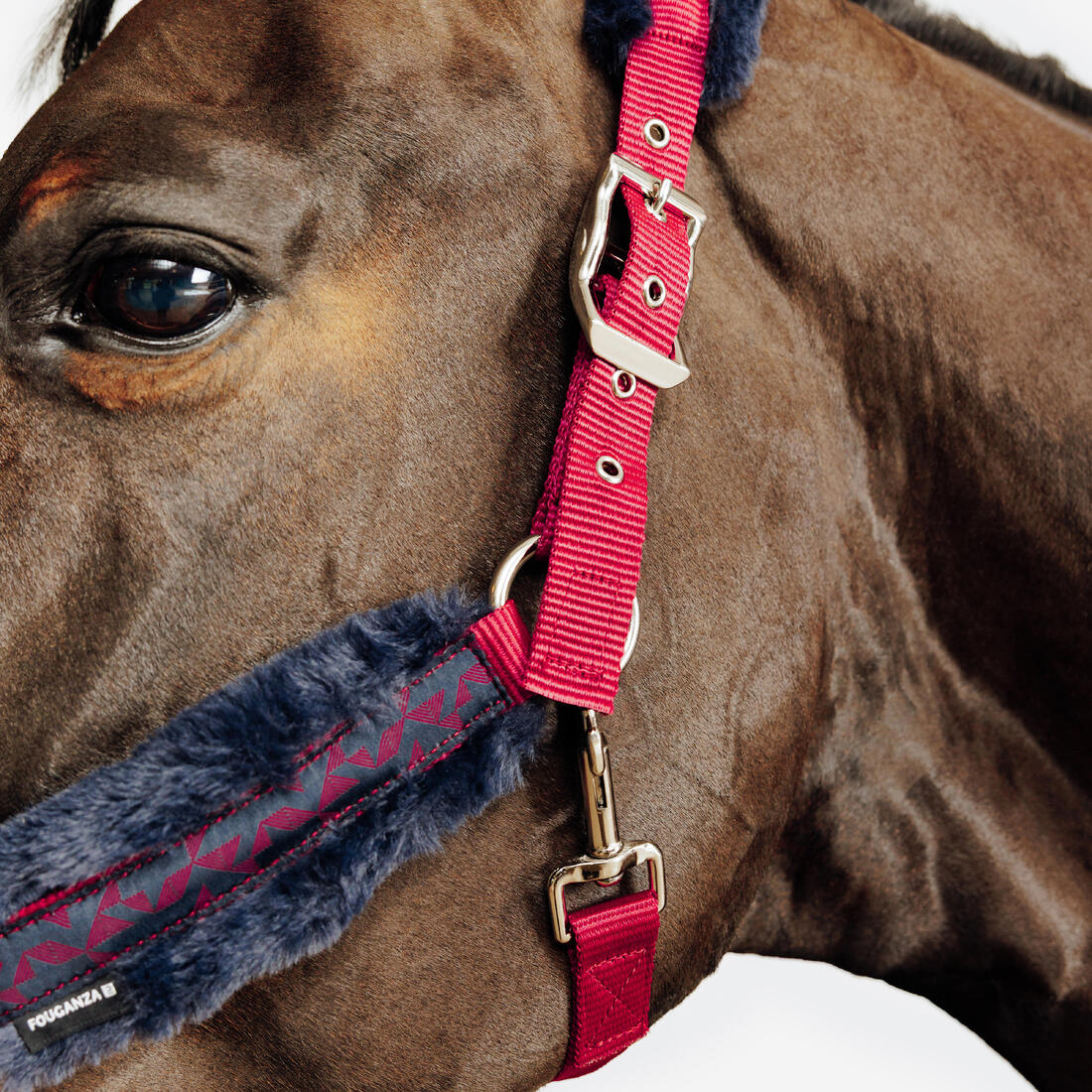 Kit licol et longe équitation Cheval et Poney - Confort rose et