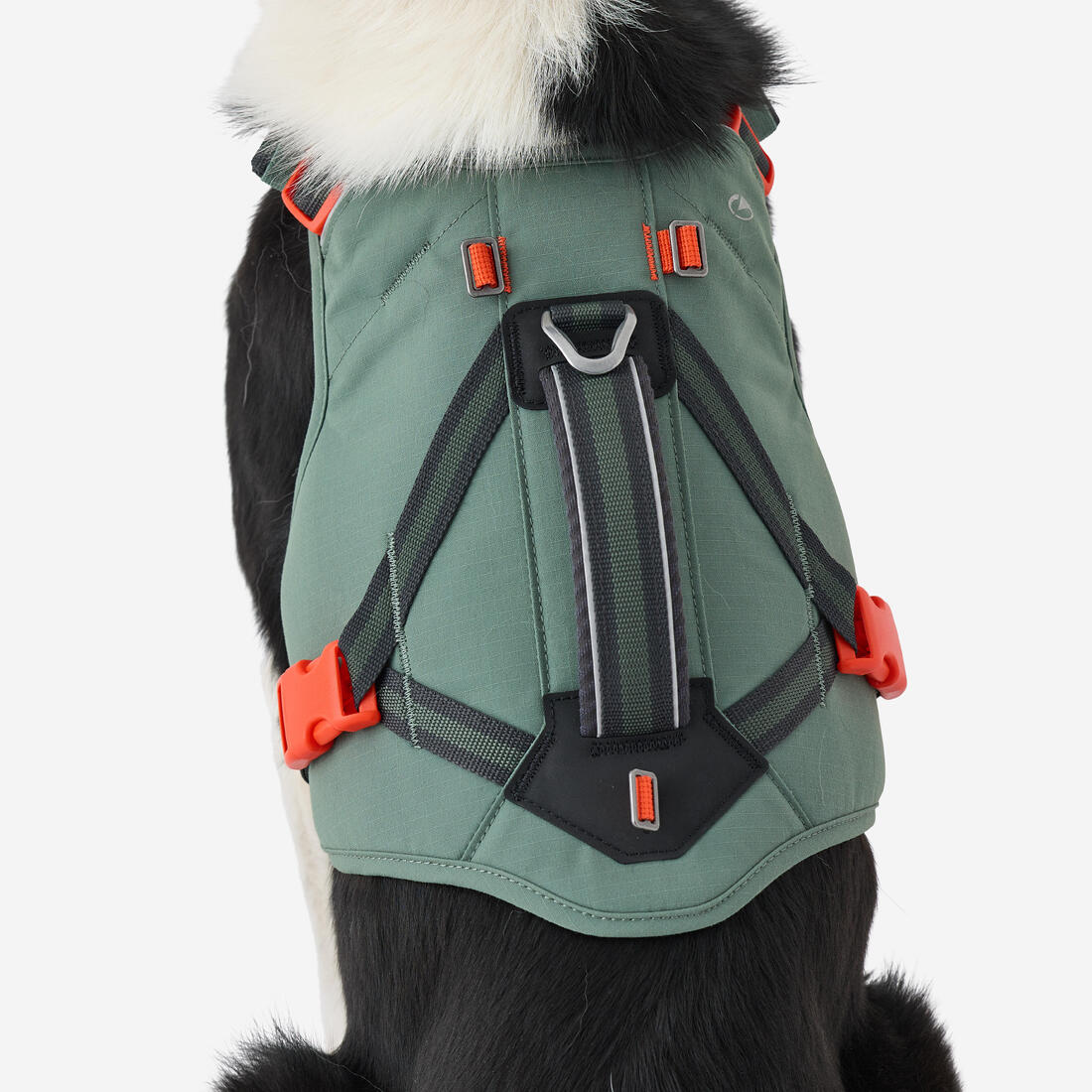 Harnais de randonnée avec sac à dos pour chien