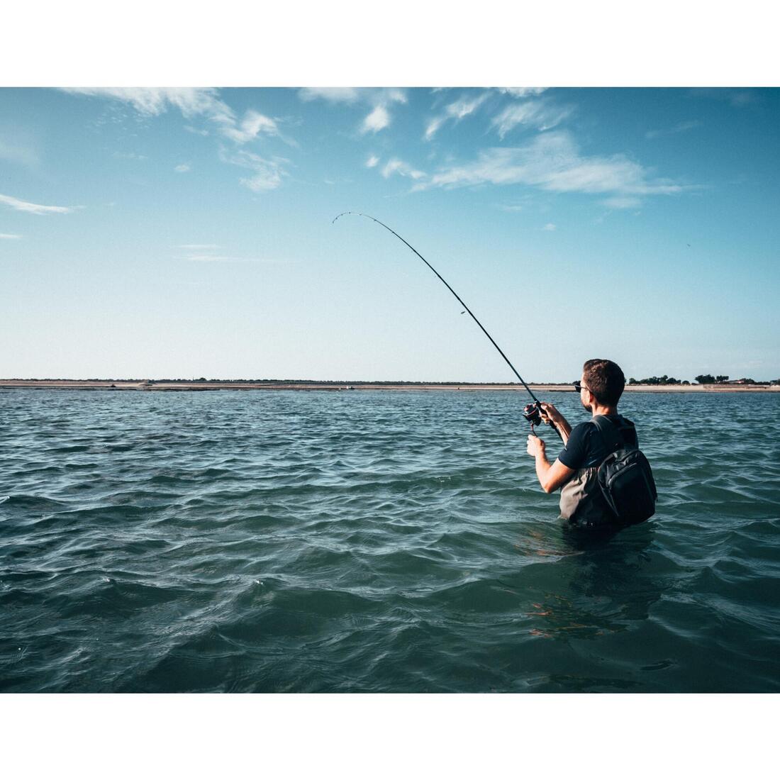 Poisson nageur SAXTON 110F au leurre en mer