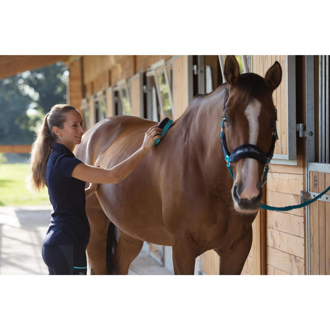 Pack licol + longe équitation cheval et poney WINNER