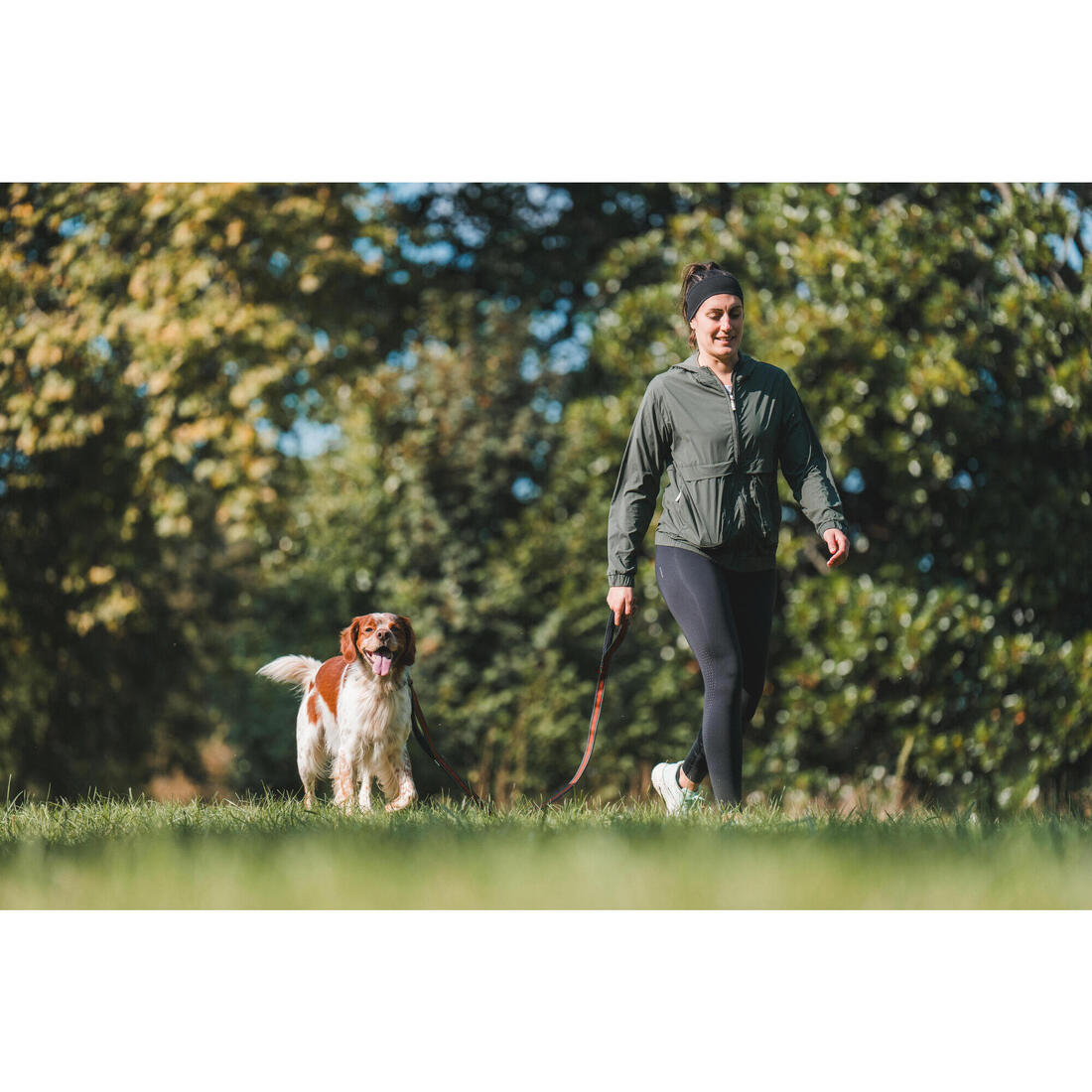 LAISSE CHIEN OUTDOOR 500