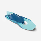 bleu paon