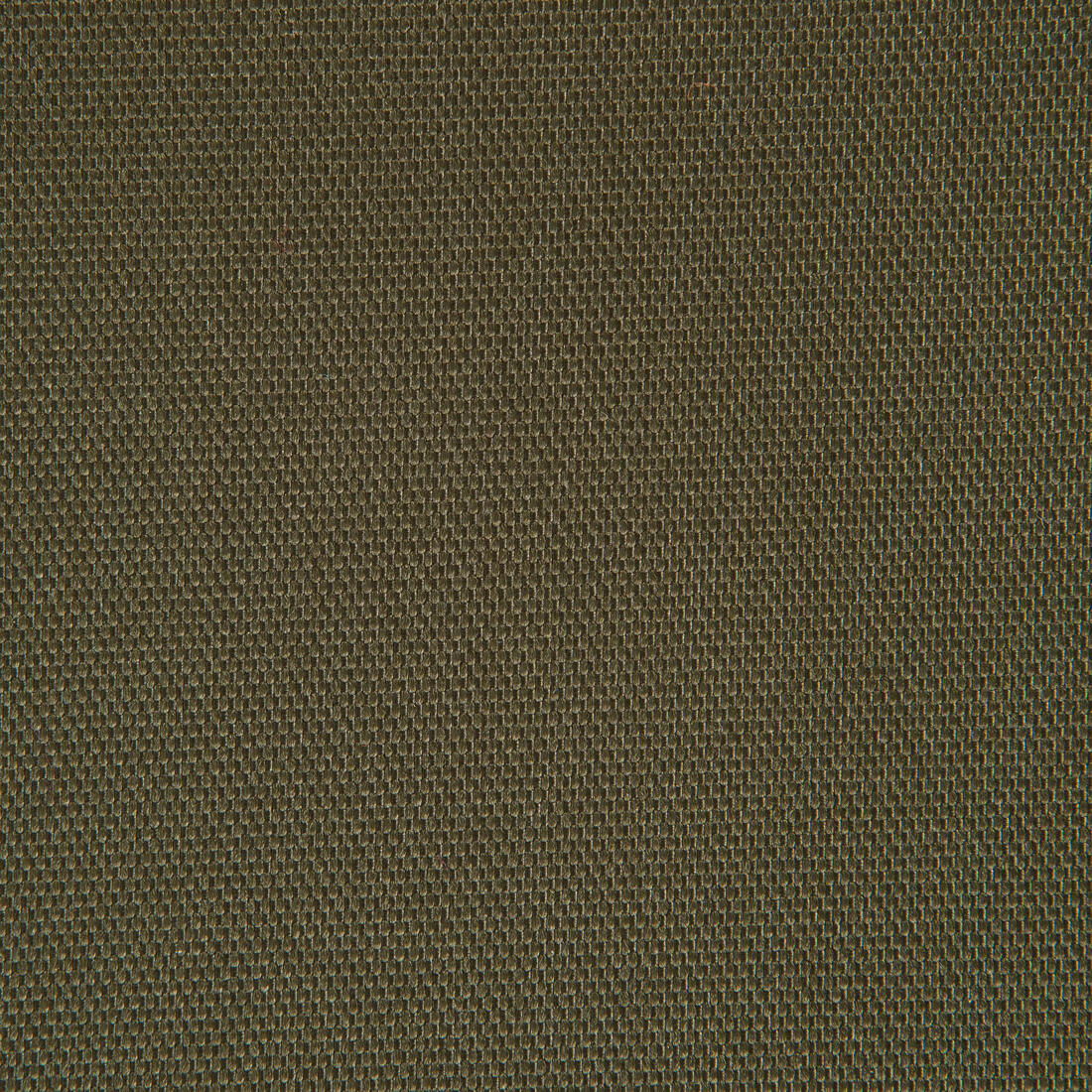 Tapis chien épaisseur 2cm 100