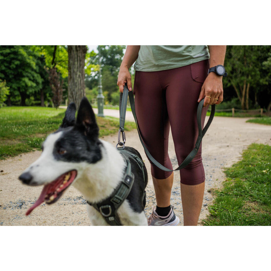 LAISSE CHIEN OUTDOOR 500