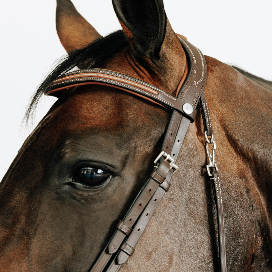 Filet équitation cuir muserolle française surpiqué cheval et poney - 580