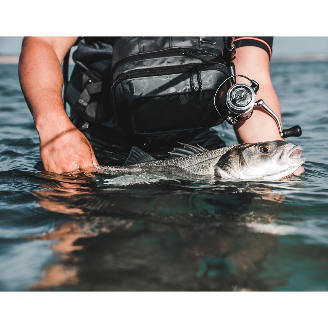 Poisson nageur SAXTON 75S au leurre en mer