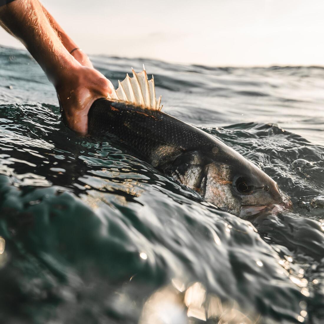 IMG_2643002