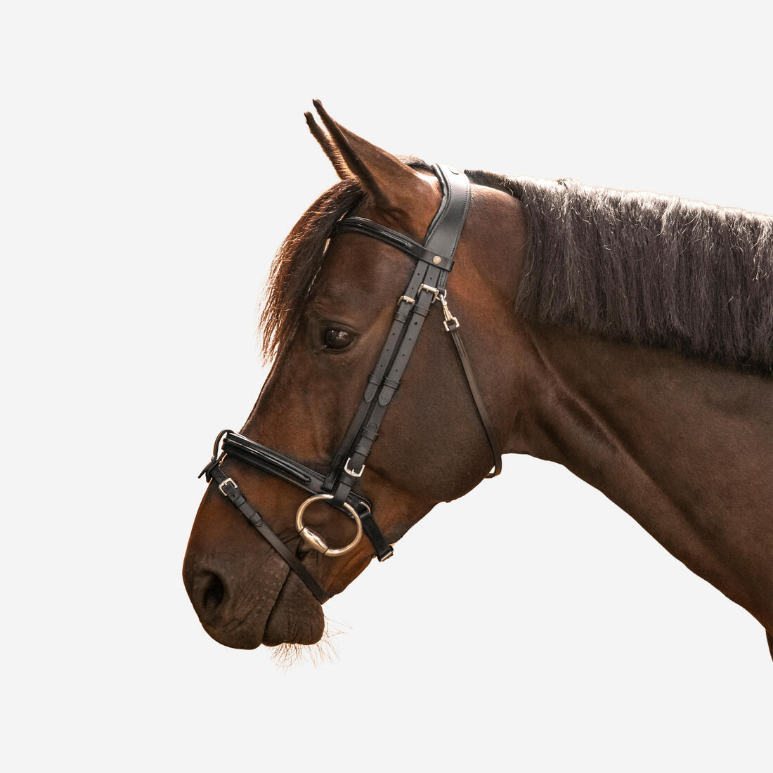 Filet équitation cuir muserolle française glossy Cheval et Poney - 580