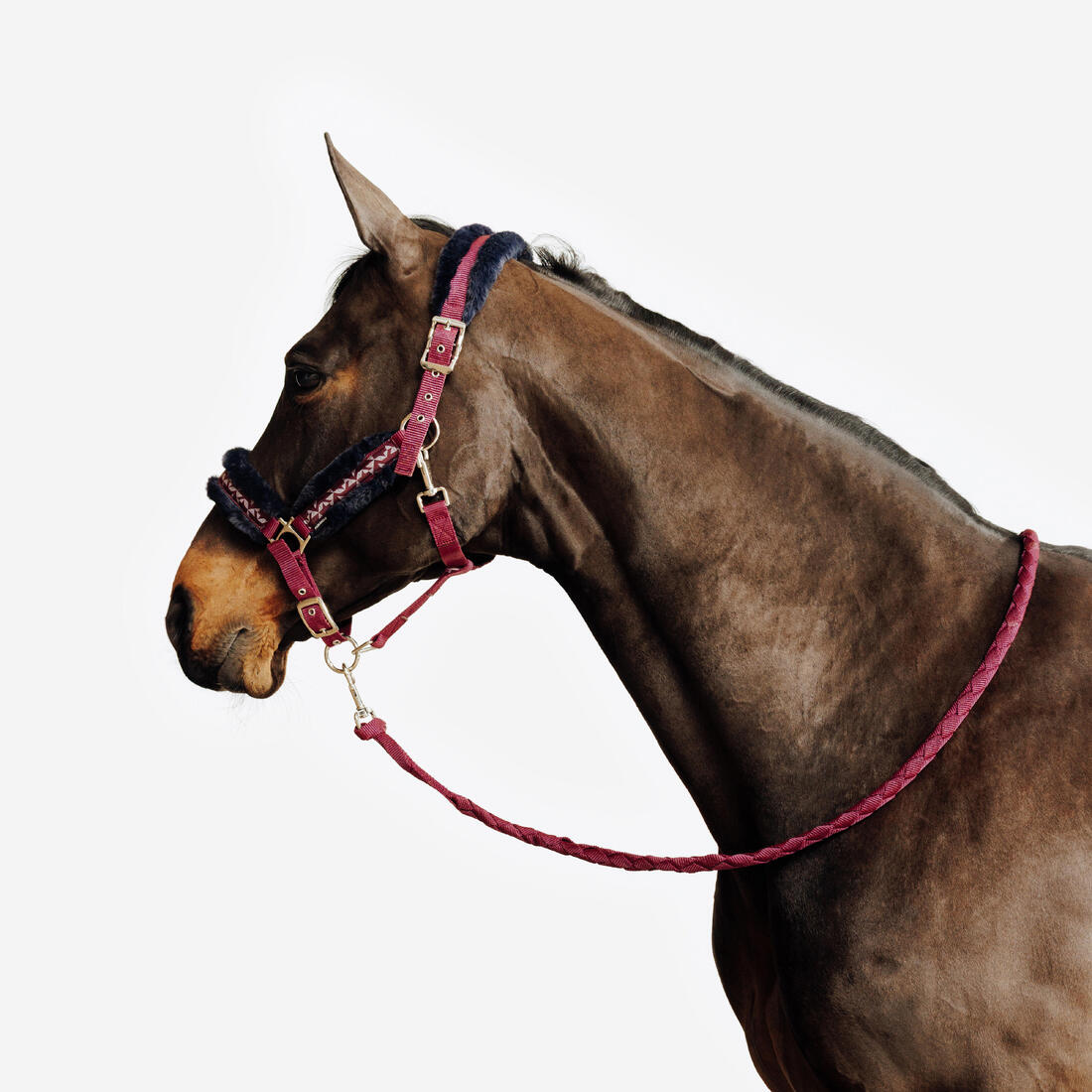 Kit licol et longe équitation Cheval et Poney - Confort rose et