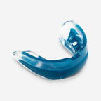 bleu de prusse