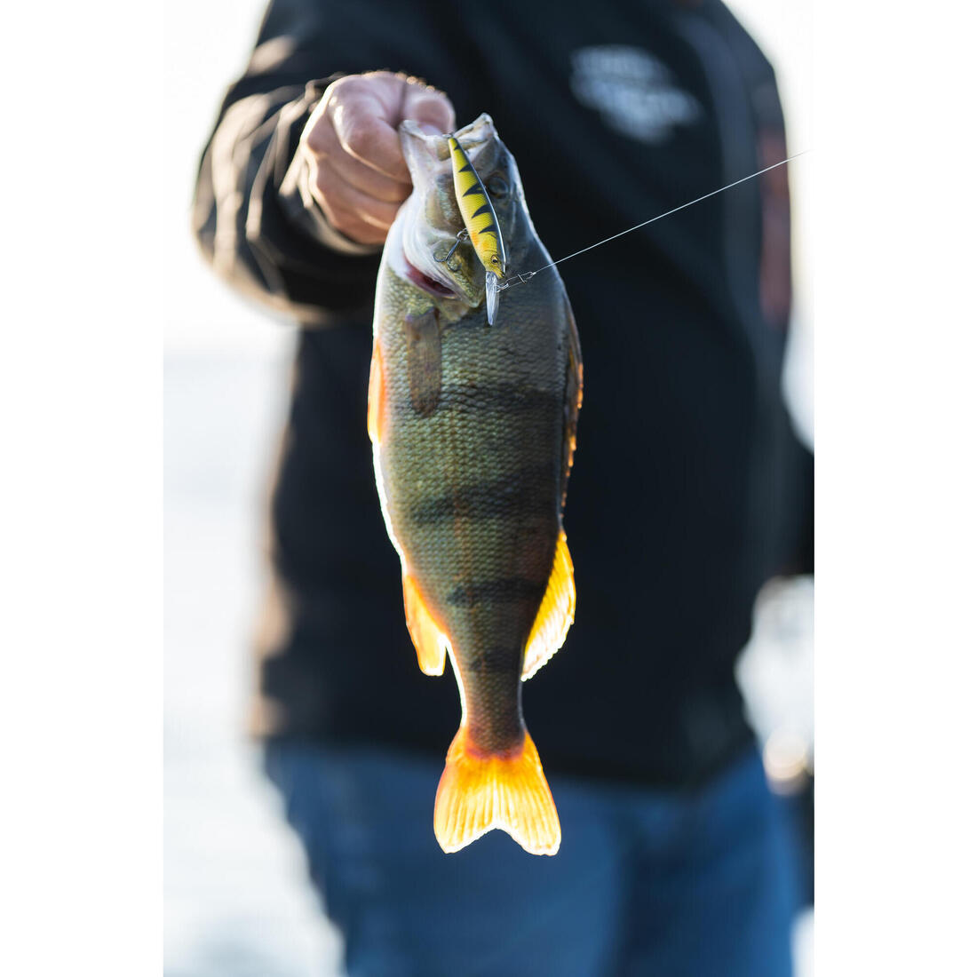 POISSON NAGEUR JERKBAIT MINNOW WXM MNWDD 76 SP