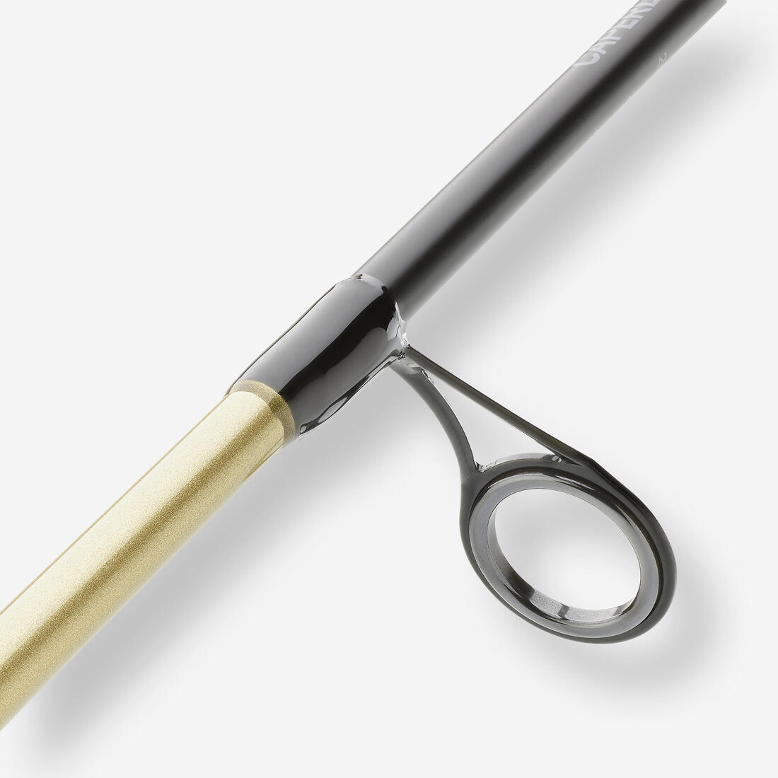 IMG_3089519