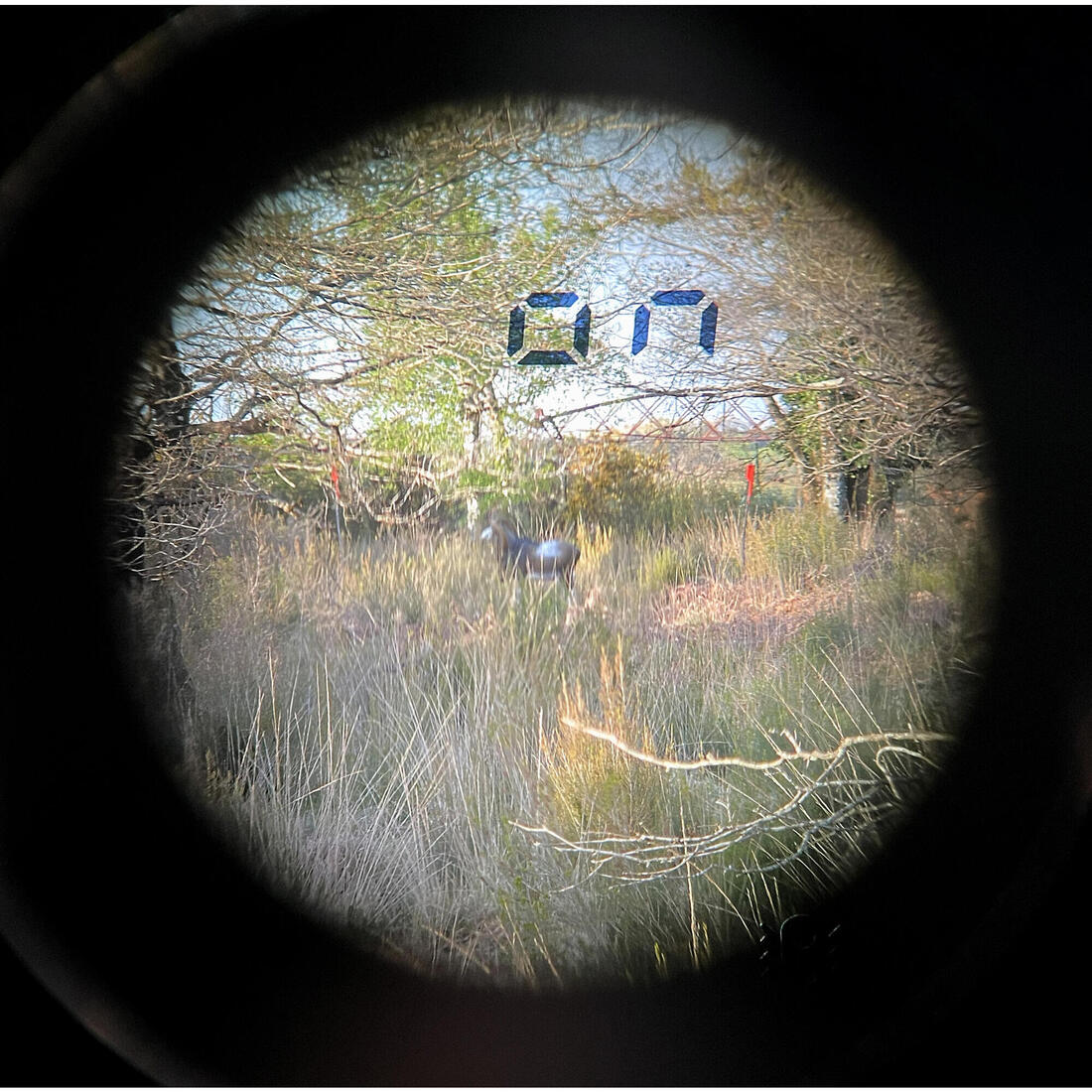 Télémètre laser Chasse 800 mètres