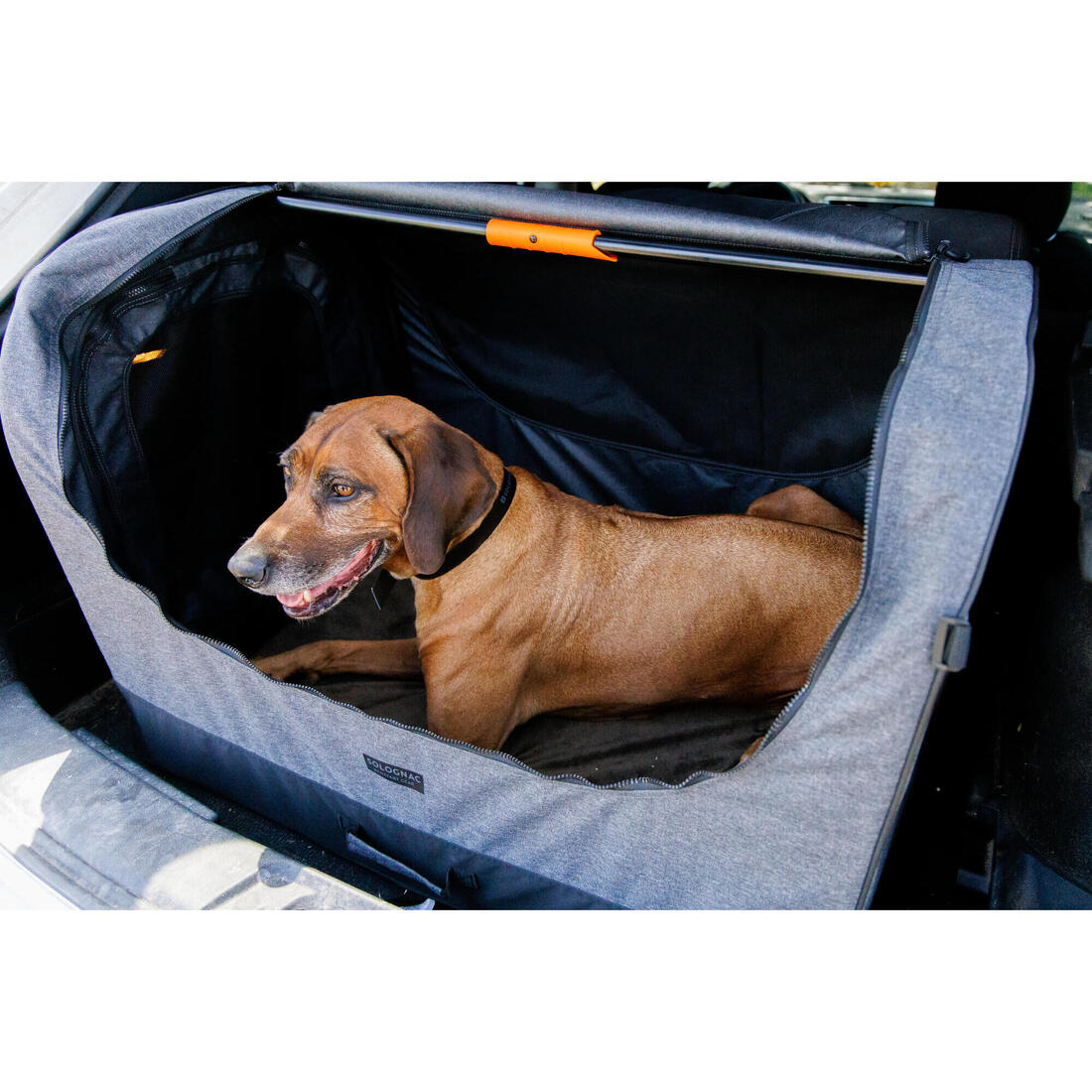 Caisse de transport pliable pour 1 chien grise