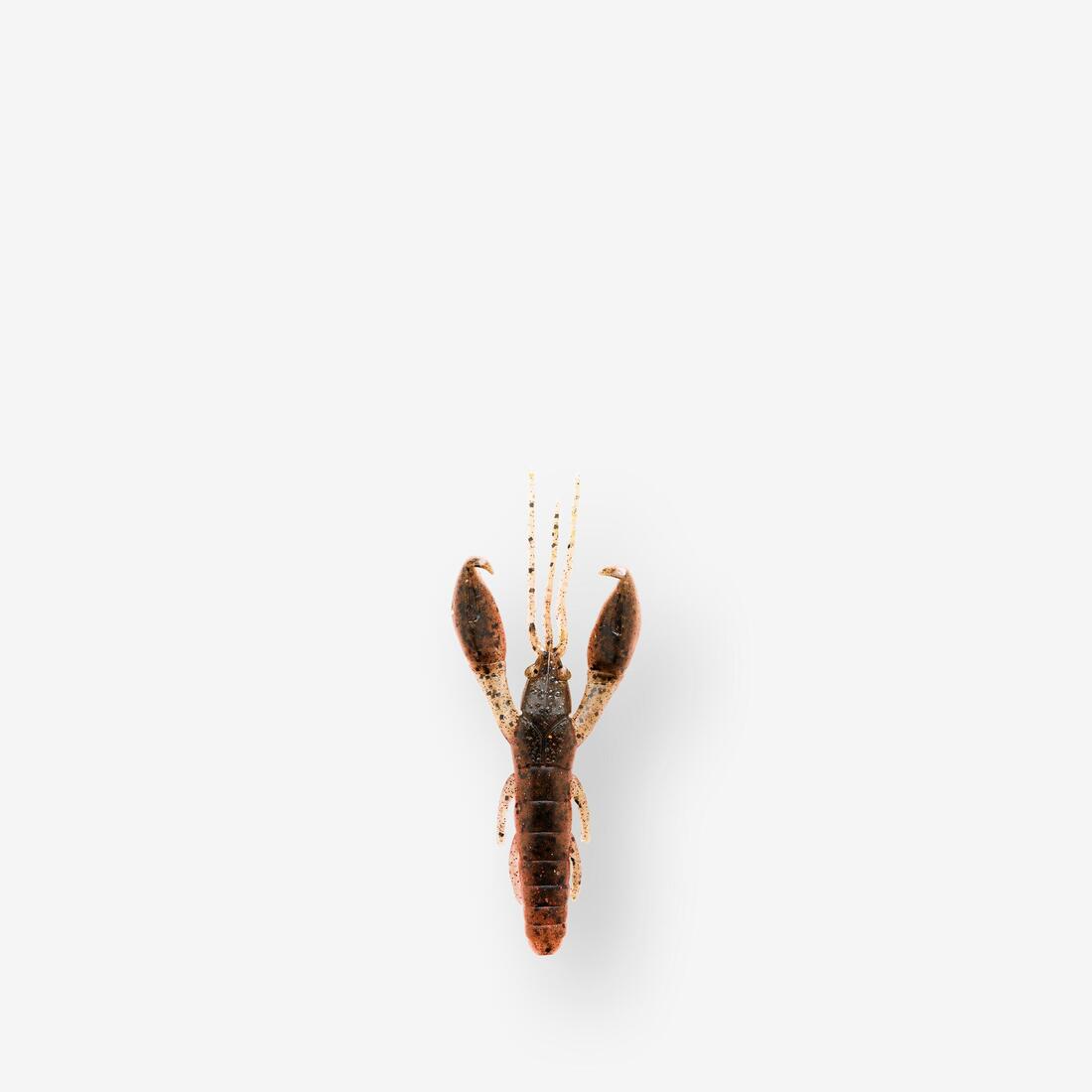 Leurre souple écrevisse avec attractant YUBARI CRW 2" 5cm YOUNG CRAW
