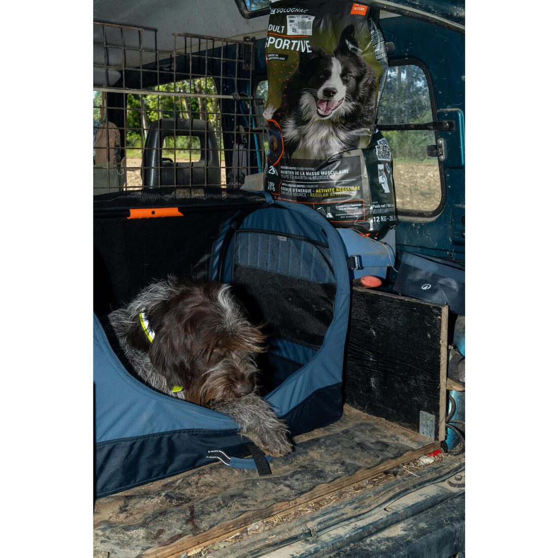 Caisse de transport pliable pour 1 chien, bleue