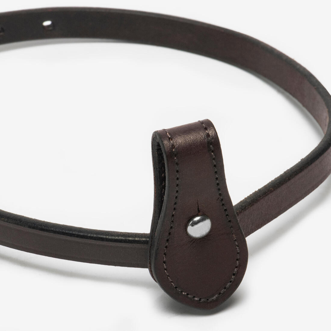 Noseband équitation cheval
