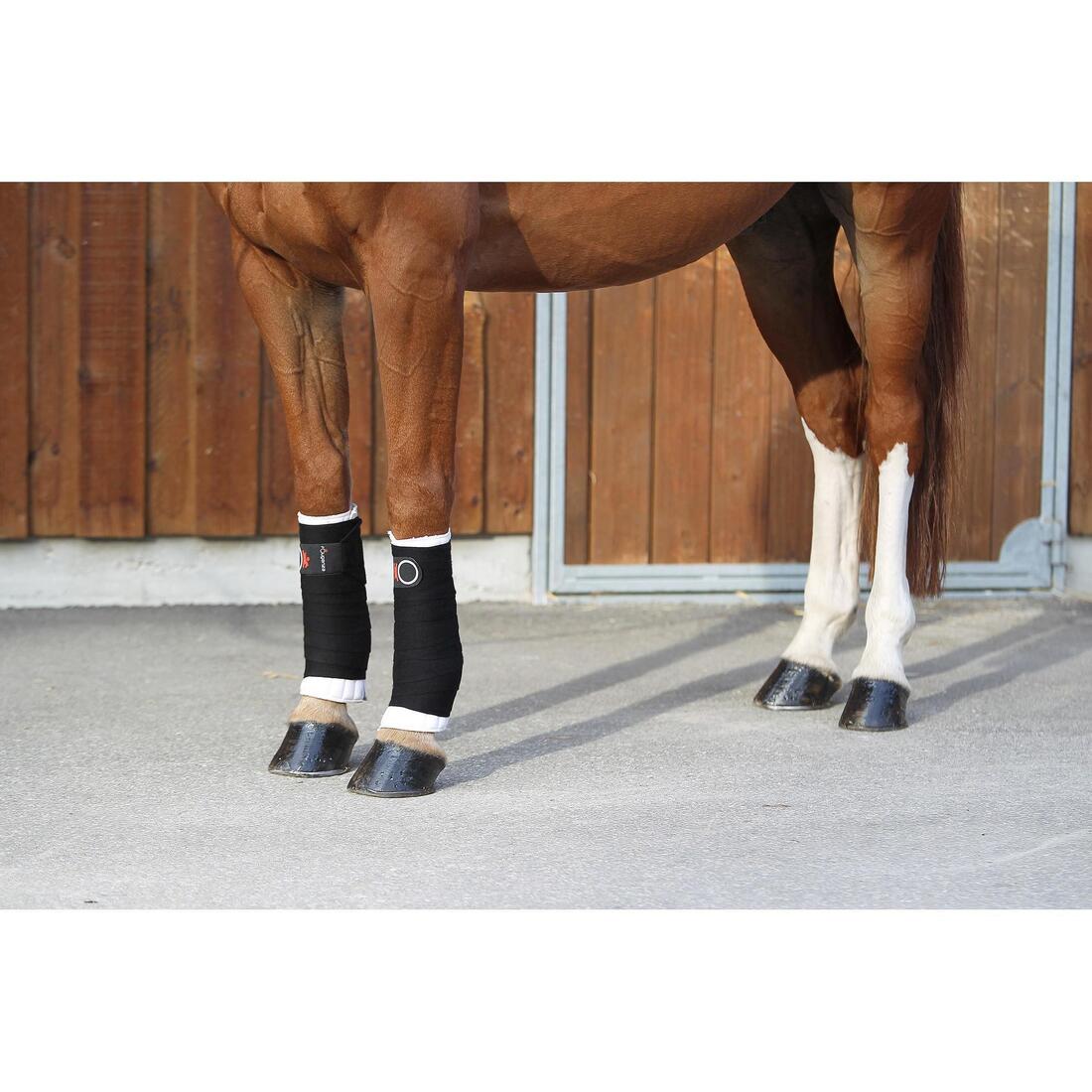Lot de 2 petites flanelles équitation cheval et poney blanc