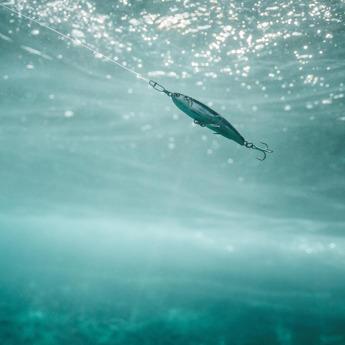 Poisson nageur lipless minnow ANCHO LM 60 Anchois