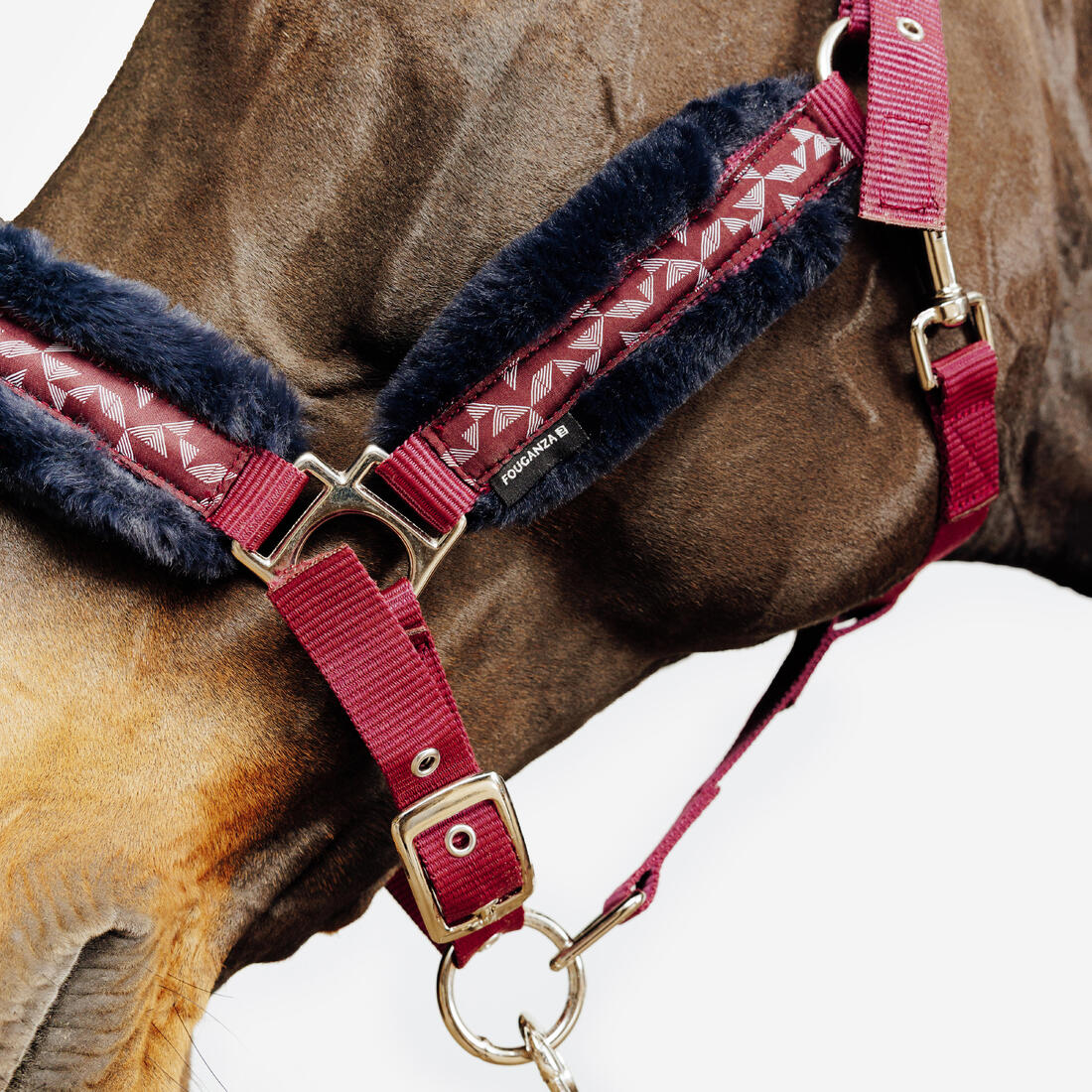 Kit licol et longe équitation Cheval et Poney - Confort rose et