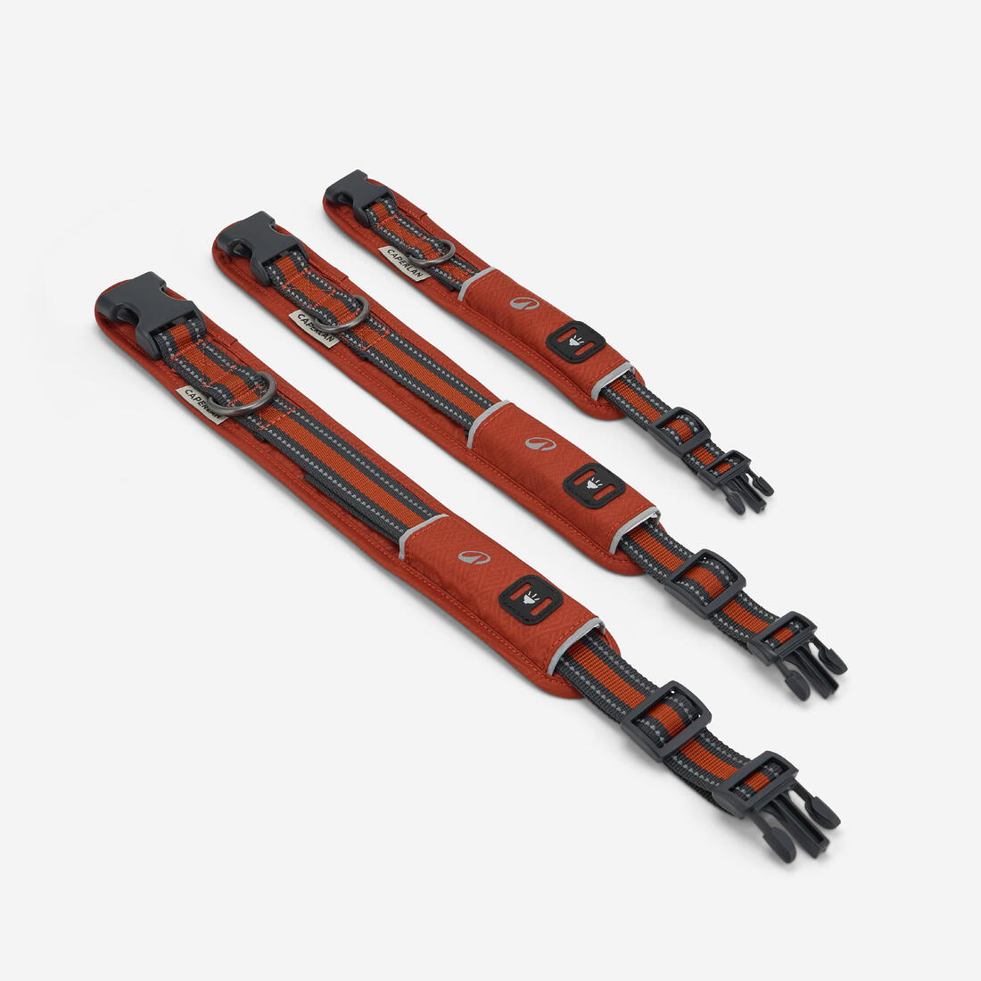 COLLIER CHIEN OUTDOOR 500